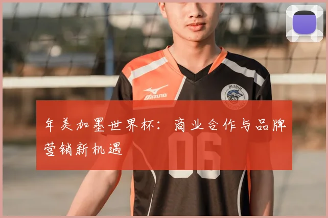 年美加墨世界杯：商业合作与品牌营销新机遇
