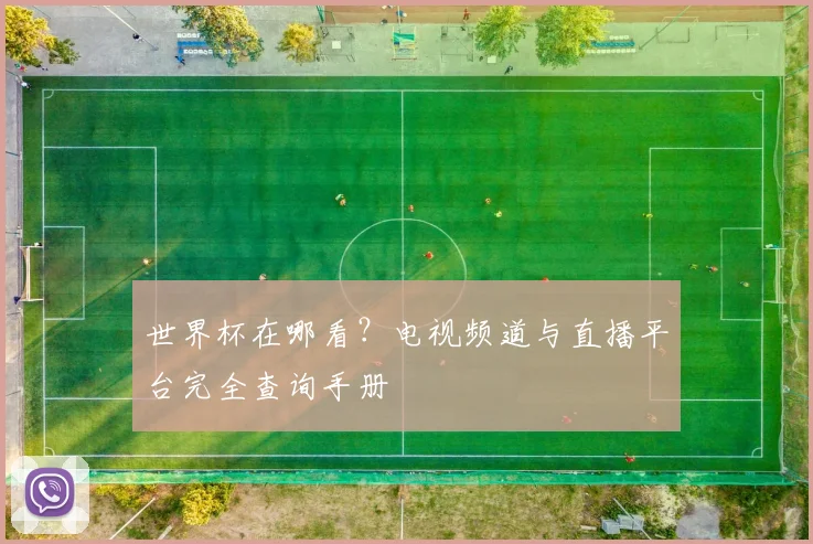 世界杯在哪看？电视频道与直播平台完全查询手册